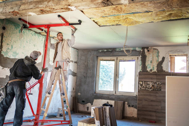 Best Specialized Insulation Services in Air Force Academy, CO